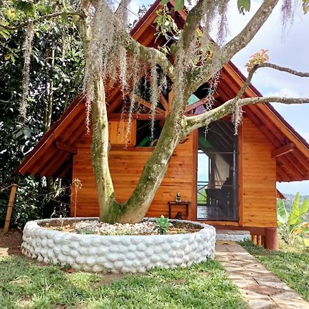 Cabanas La Miranda Filandia Exterior foto